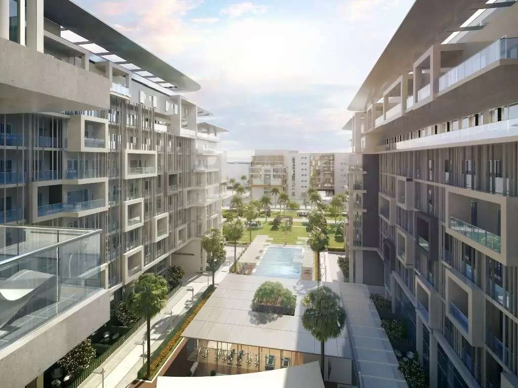 Oasis 1